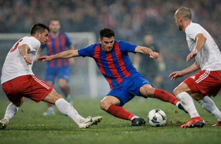 Meciul Chindia Târgoviște – Sepsi OSK Sfântu Gheorghe: Rezultatul Final 0-1