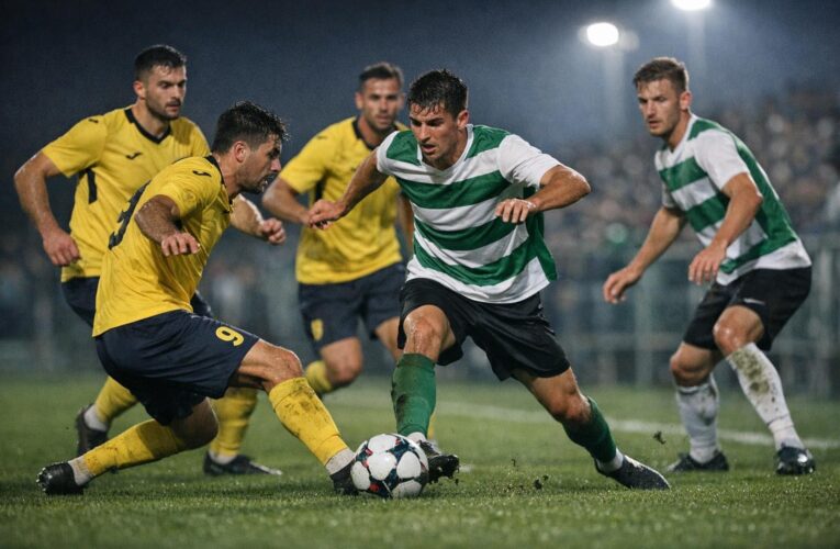 Meciul dintre Dumbrăviţa și CS Afumati – 1-0