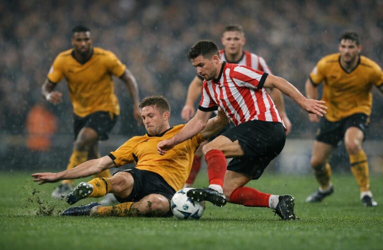 Meciul dintre Wolves și Sunderland – 1-1