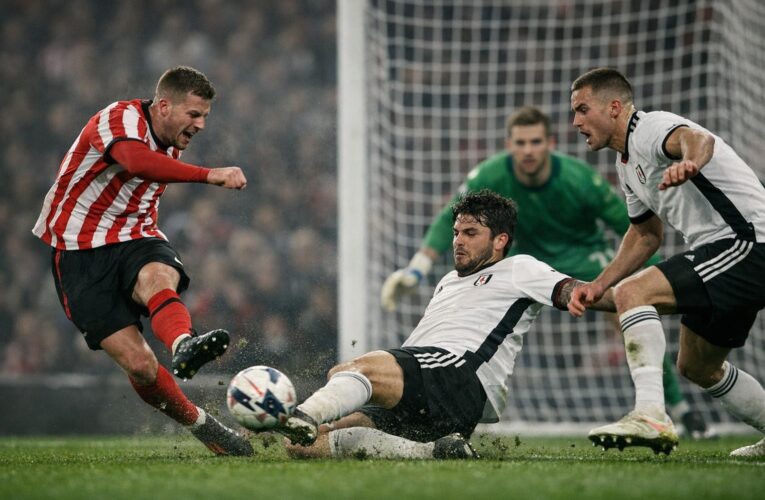Sunderland a învins Fulham cu 1-0, într-un meci decis de un singur gol