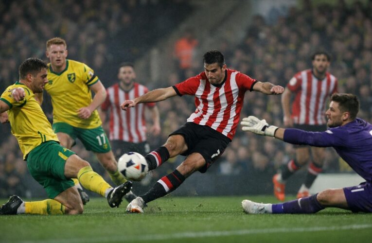 Norwich – Southampton 0-1, pe 14 octombrie 2026: victorie la limită pentru oaspeți